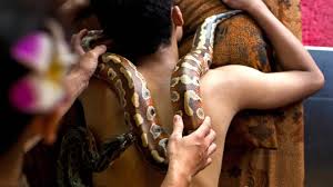 massage python